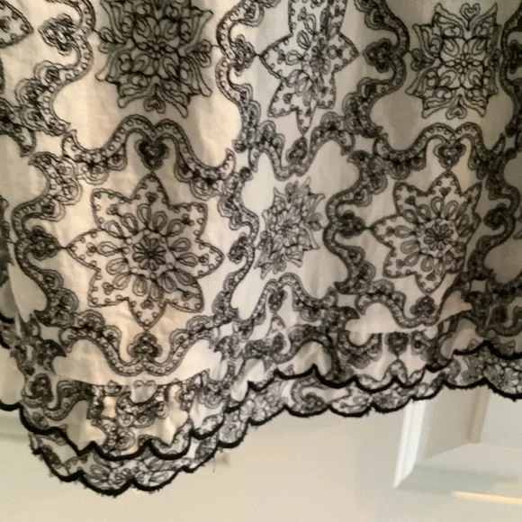 ANTHROPOLOGIE Elegant Embroidered   Black and White Ruffle Top
Medium - Picture 7 of 9